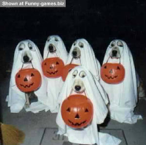 Halloween Puppies